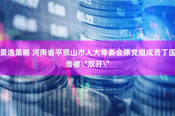 景逸策略 河南省平顶山市人大常委会原党组成员丁国浩被