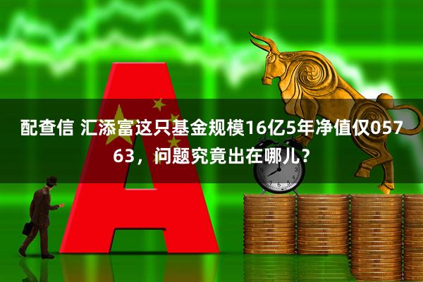 配查信 汇添富这只基金规模16亿5年净值仅05763，问题究竟出在哪儿？