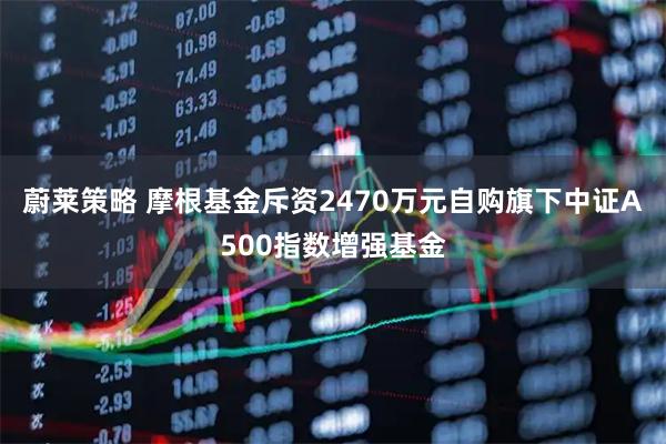 蔚莱策略 摩根基金斥资2470万元自购旗下中证A500指数增强基金
