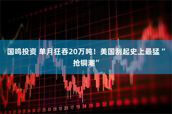 国鸣投资 单月狂吞20万吨！美国刮起史上最猛“抢铜潮”